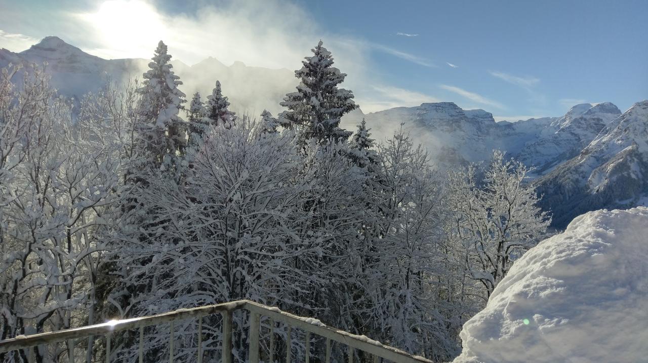 Adrenalin Backpackers Hostel Браунвалд Екстериор снимка